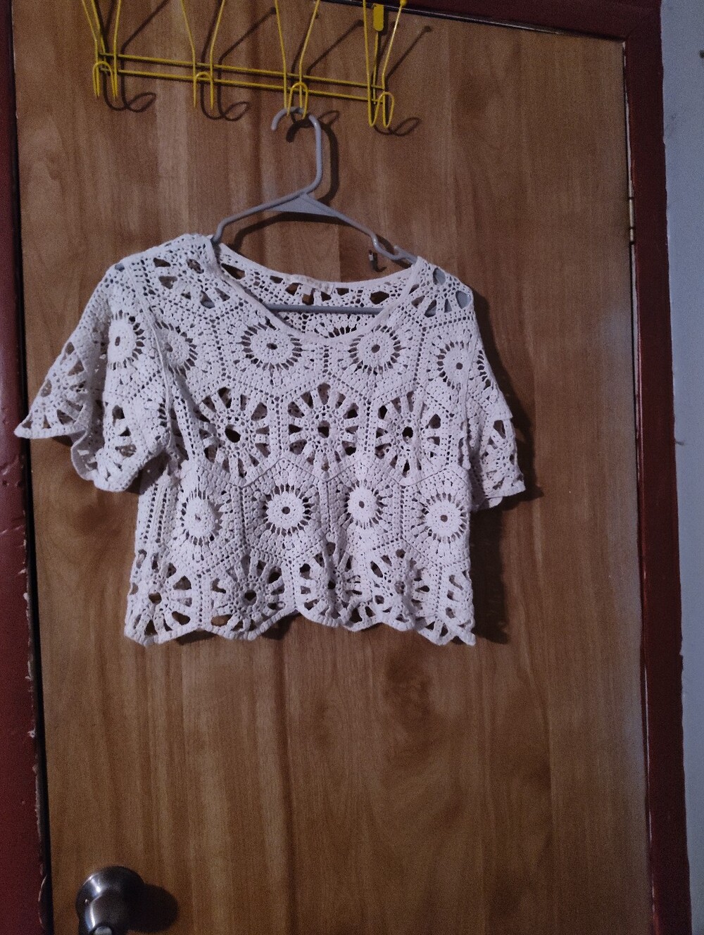 Crochet Floral Short Sleeve Crop Top in Cream